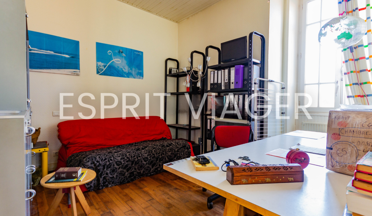 Esprit Viager VENDRE SON BIEN EN VIAGER BORDEAUX 3 1