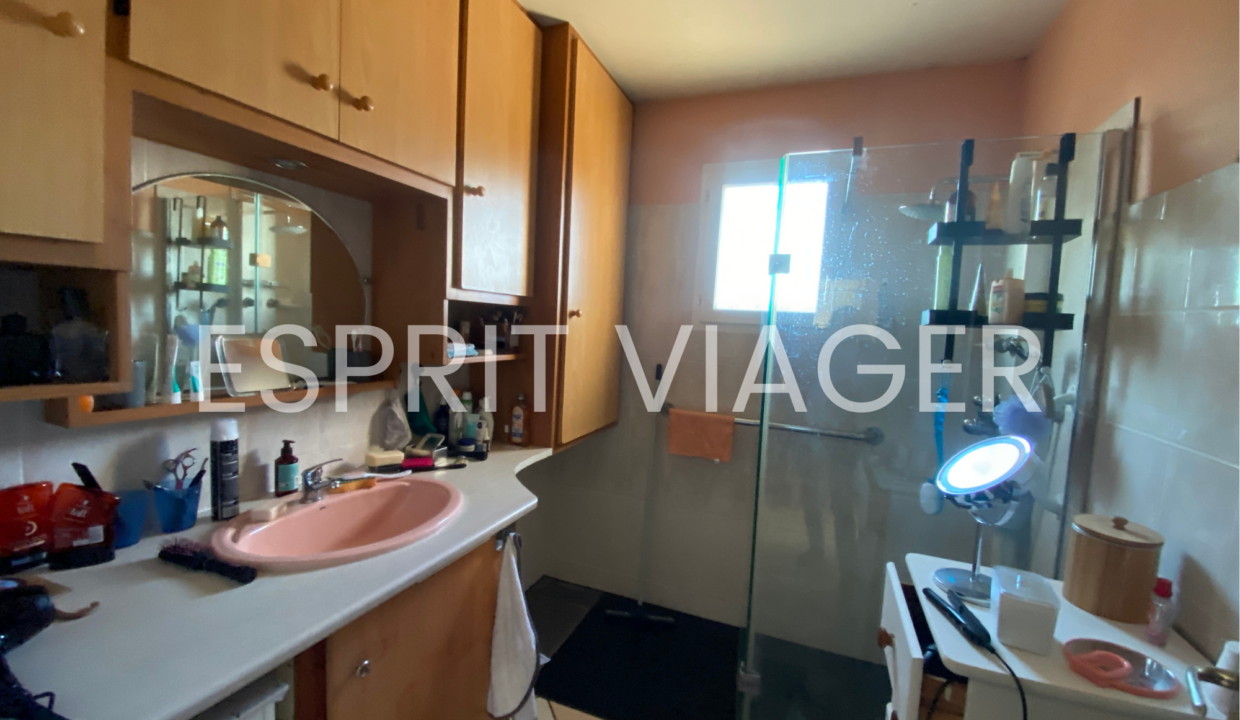 Esprit Viager VENDRE SON BIEN EN VIAGER BORDEAUX 2 1