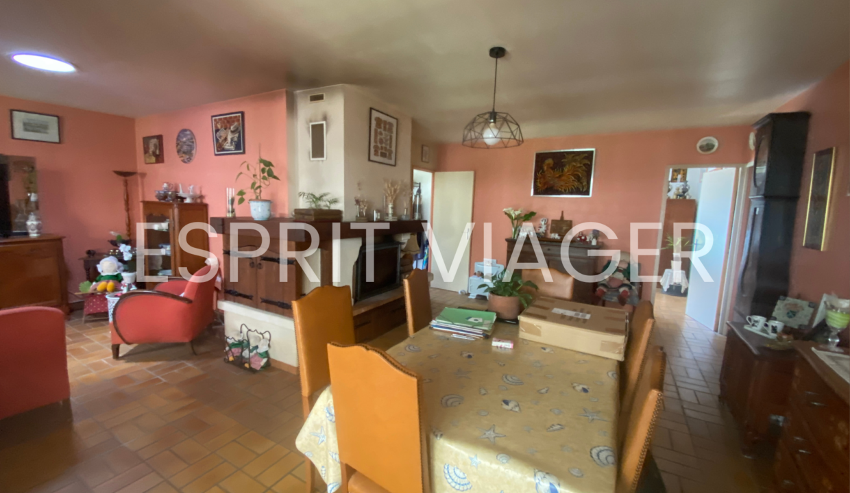 Esprit Viager VENDRE SON BIEN EN VIAGER BORDEAUX 17