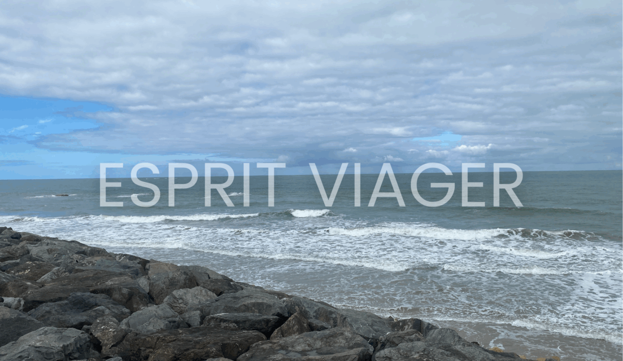 Esprit Viager VENDRE SON BIEN EN VIAGER BORDEAUX 10