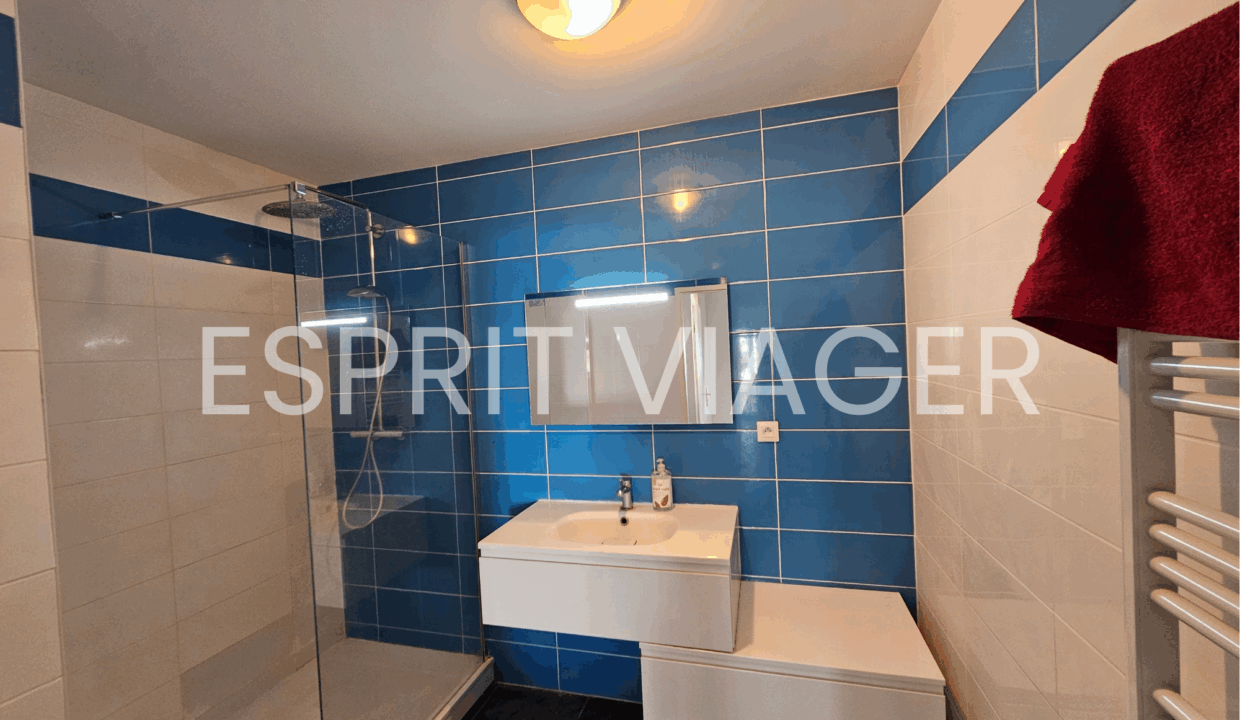 Esprit Viager VENDRE SON BIEN EN VIAGER BORDEAUX SALLE DE BAIN 1