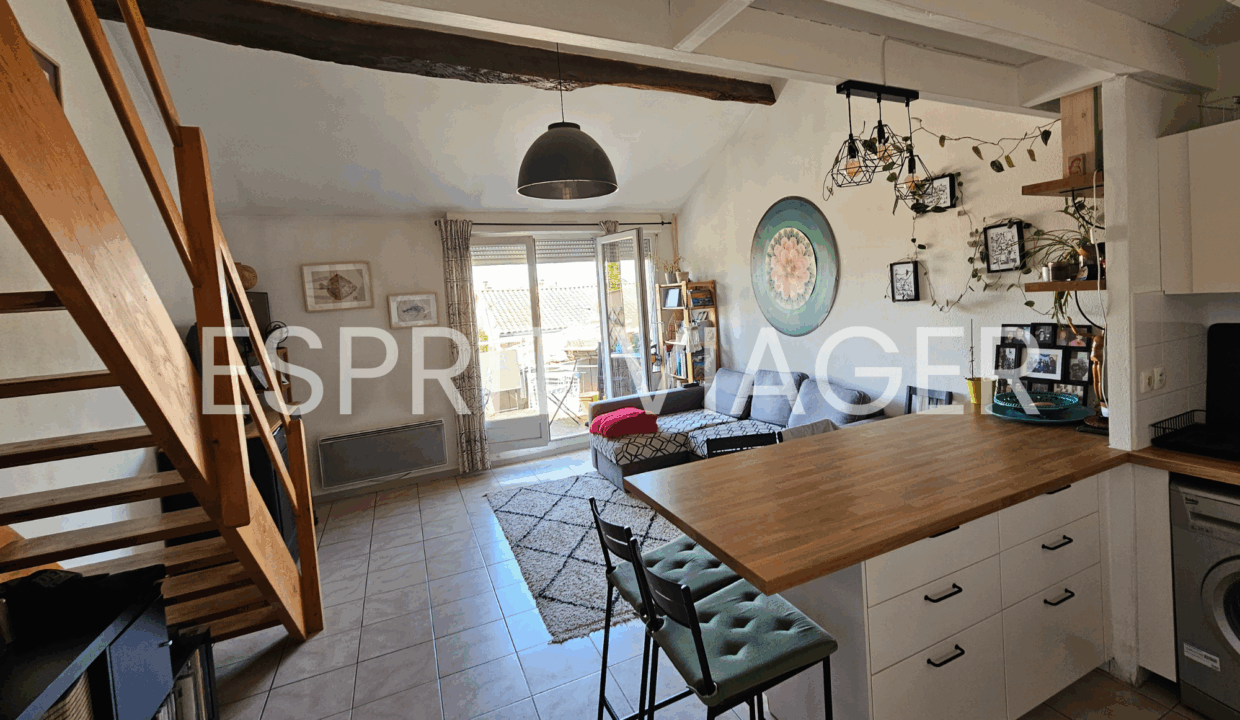Esprit Viager VENDRE SON BIEN EN VIAGER BORDEAUX Vue Densemble