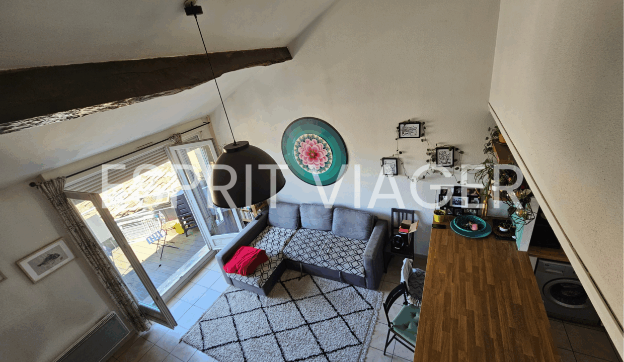 Esprit Viager VENDRE SON BIEN EN VIAGER BORDEAUX Vue Densemble Depuis Escalier