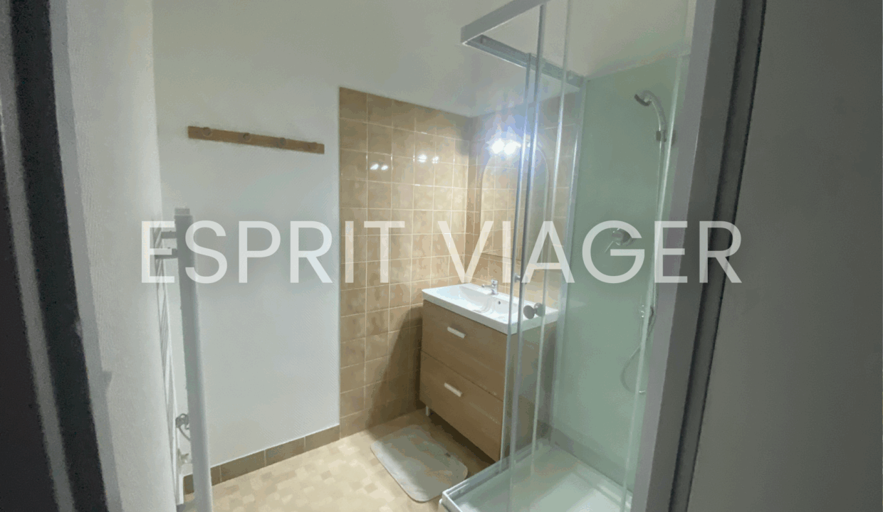 Esprit Viager VENDRE SON BIEN EN VIAGER BORDEAUX 3