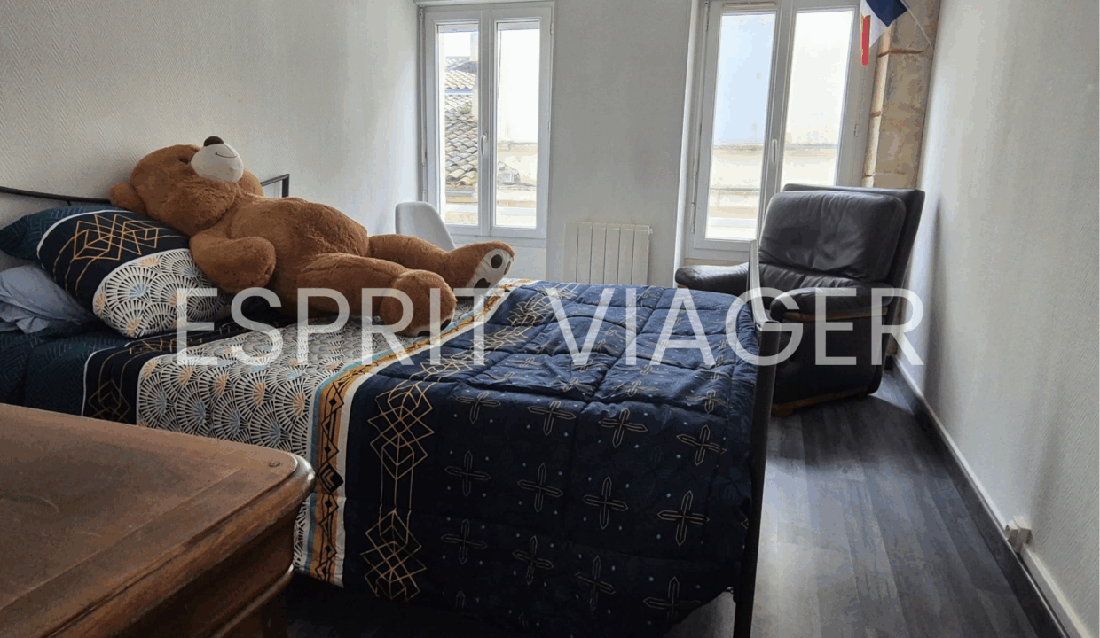 Esprit Viager VENDRE SON BIEN EN VIAGER BORDEAUX 4