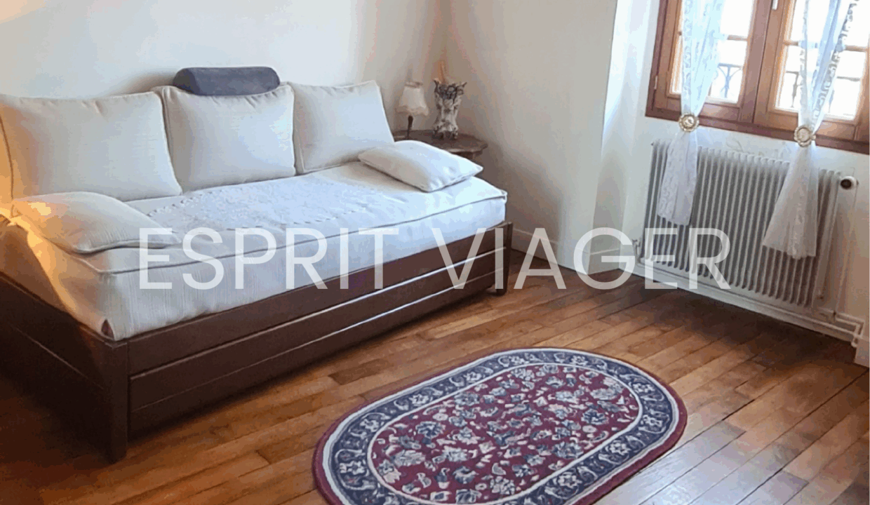 Esprit Viager VENDRE SON BIEN EN VIAGER BORDEAUX 7 1