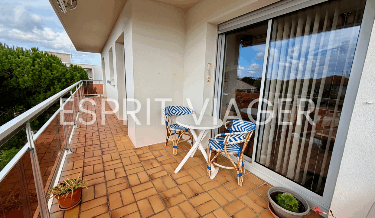 Esprit Viager VENDRE SON BIEN EN VIAGER BORDEAUX 3 1