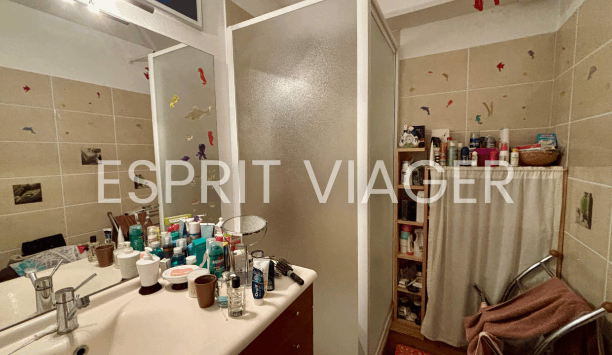 Esprit Viager VENDRE SON BIEN EN VIAGER BORDEAUX 6 5