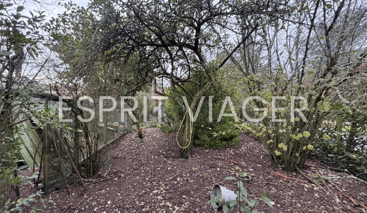 Esprit Viager VENDRE SON BIEN EN VIAGER BORDEAUX 3 Min