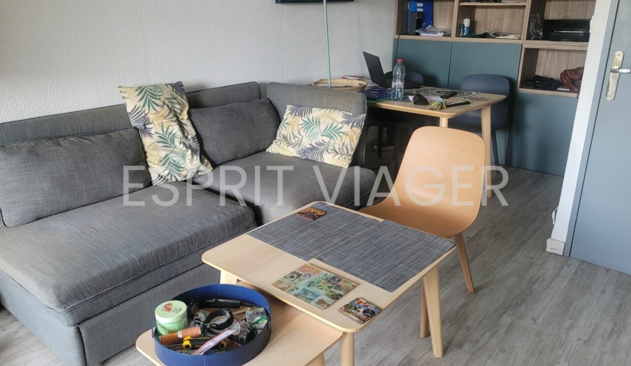 Esprit Viager VENDRE SON BIEN EN VIAGER BORDEAUX Salon 2