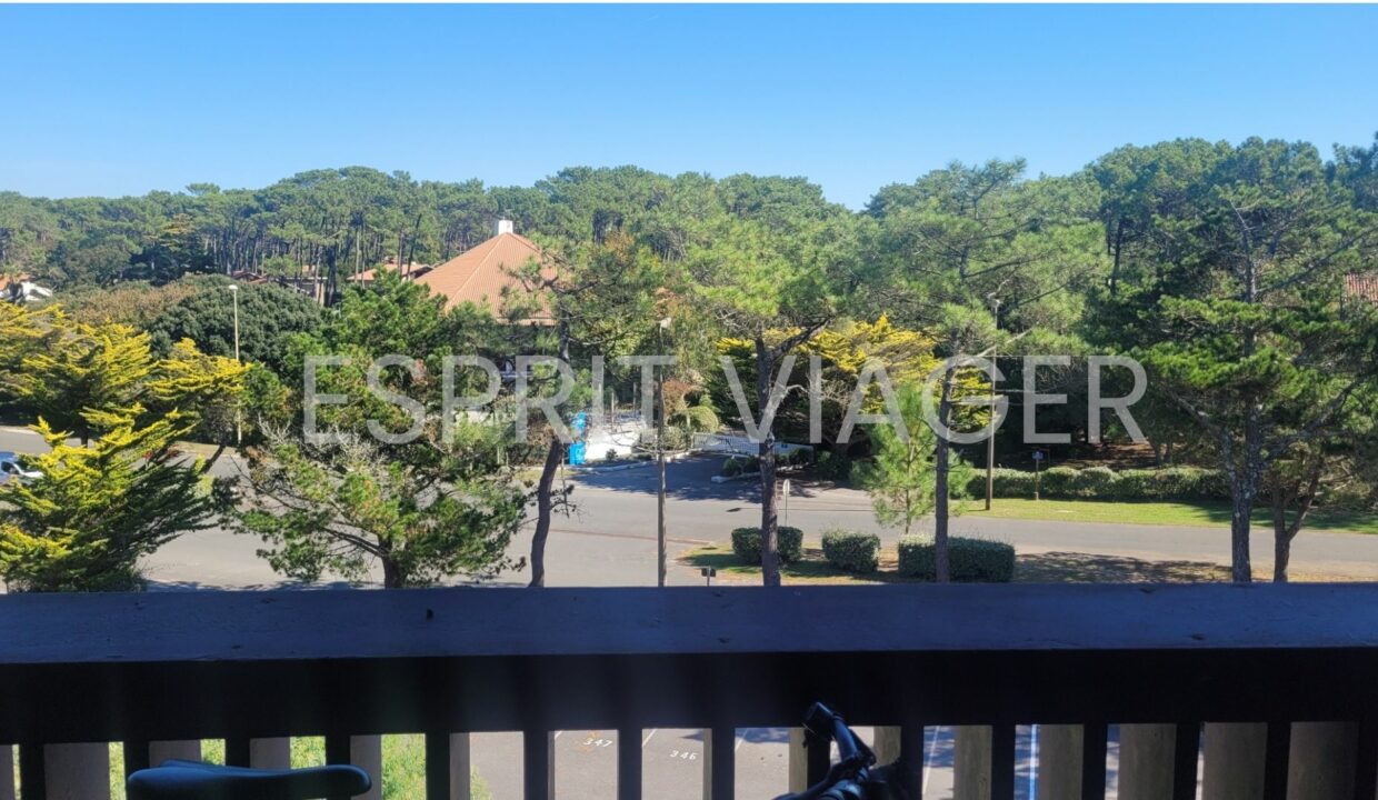 Esprit Viager VENDRE SON BIEN EN VIAGER BORDEAUX Vue Balcon 2